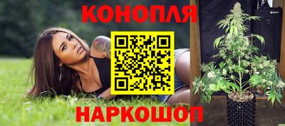 индика Будённовск