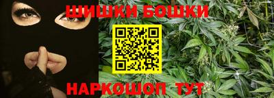 индика Будённовск