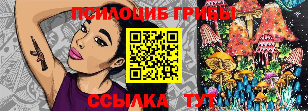 Псилоцибиновые грибы Cubensis Янаул